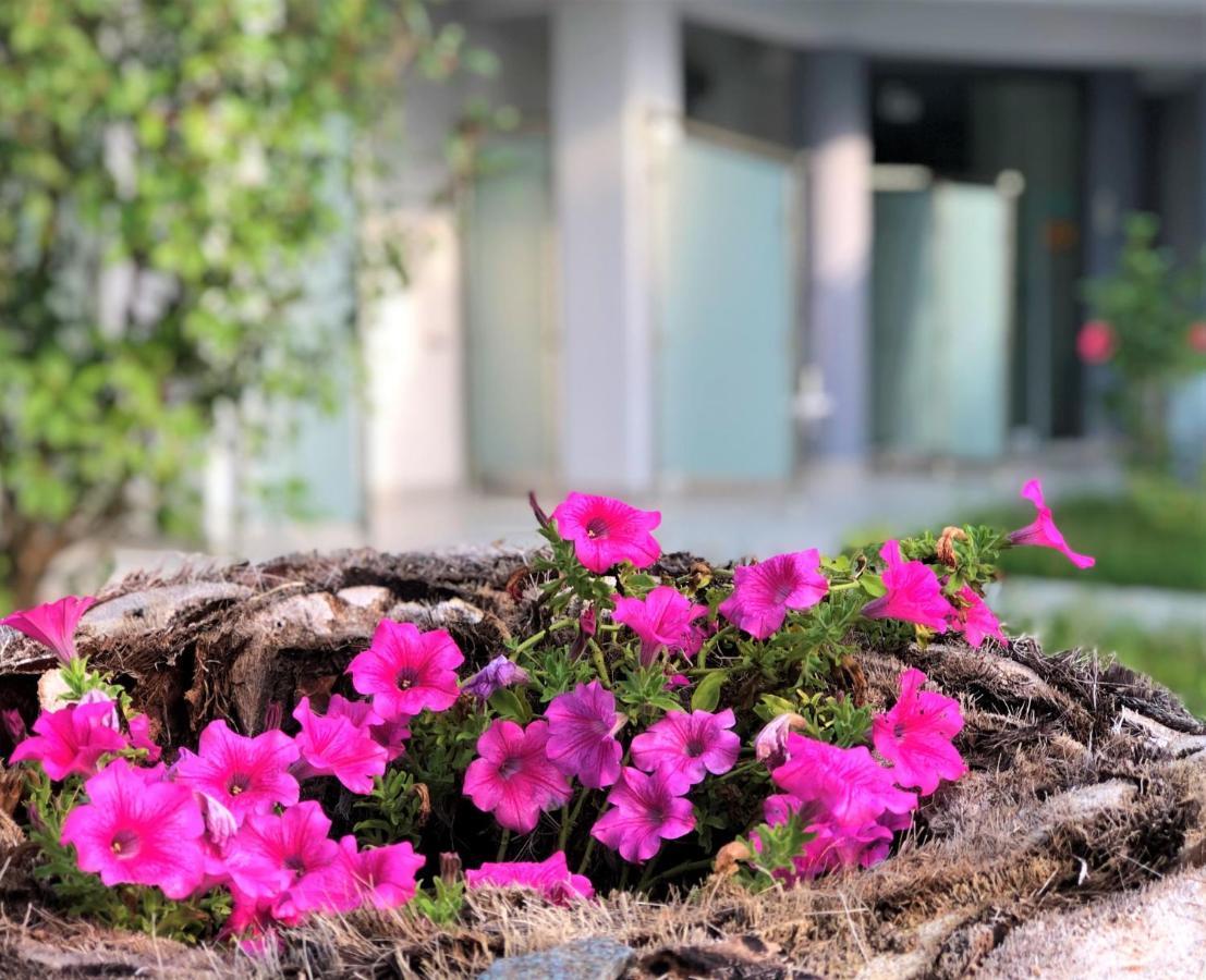 Nikiti Holidays Dış mekan fotoğraf